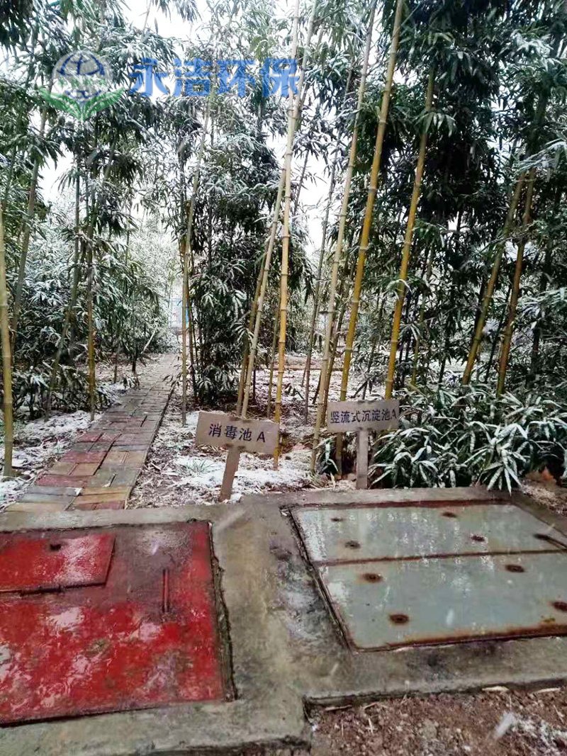 &#26032;&#21033;
